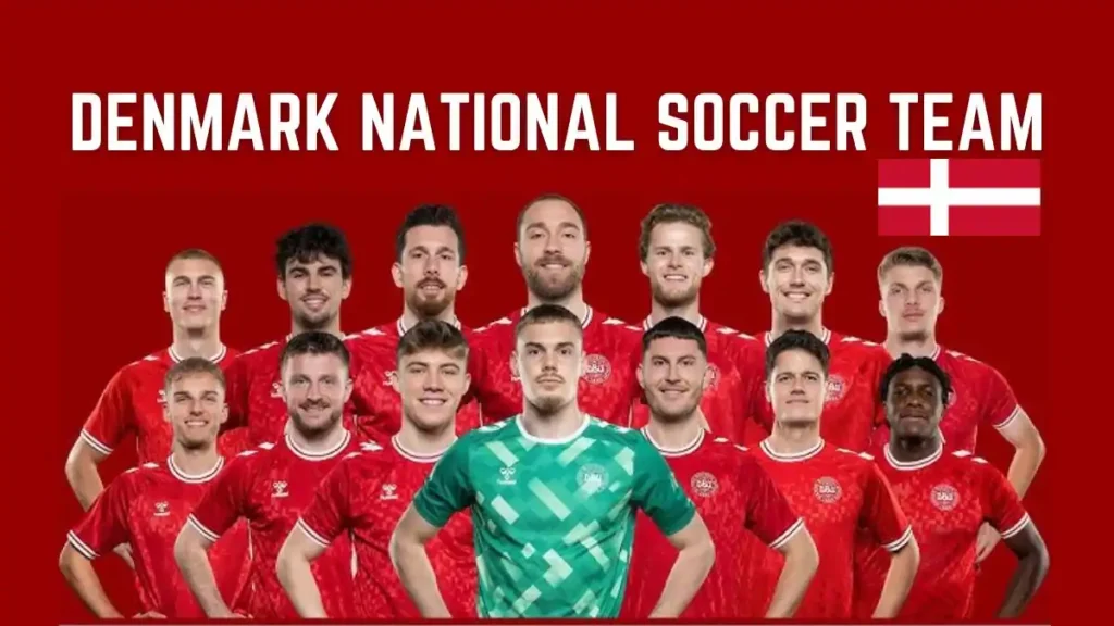 Denmark National Soccer Team